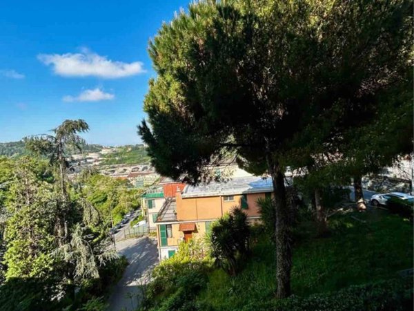 appartamento in vendita a Genova in zona Rivarolo
