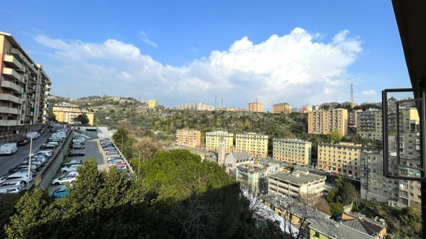 appartamento in vendita a Genova in zona Sampierdarena