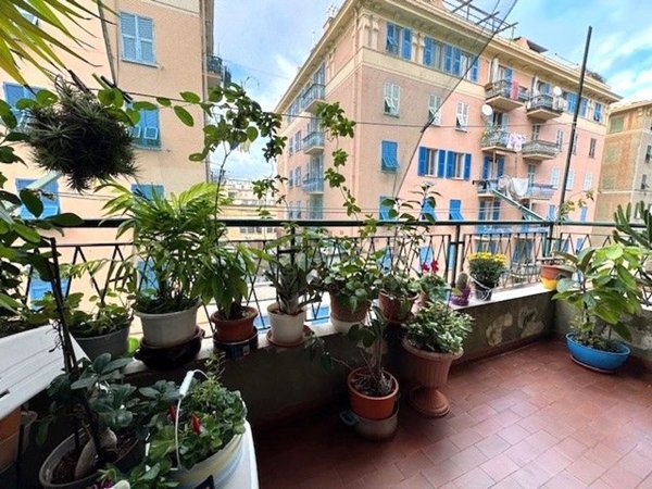 appartamento in vendita a Genova in zona Sampierdarena