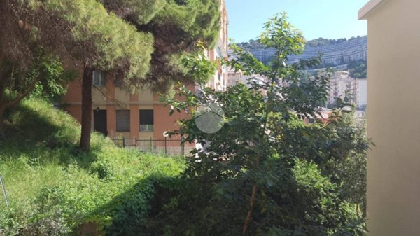 appartamento in vendita a Genova in zona Marassi