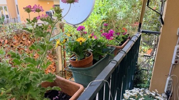 appartamento in vendita a Genova in zona Castelletto