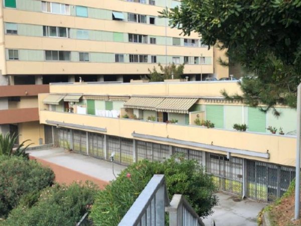 negozio in vendita a Genova in zona Bolzaneto