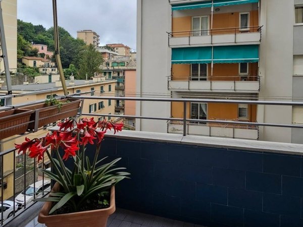 appartamento in vendita a Genova in zona San Fruttuoso