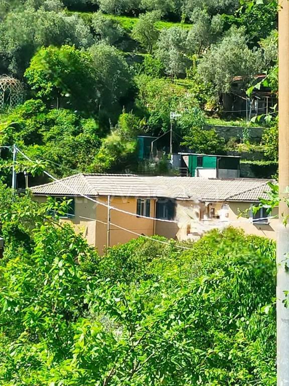 appartamento in vendita a Genova in zona Quezzi