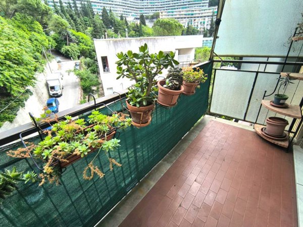 appartamento in vendita a Genova in zona Marassi