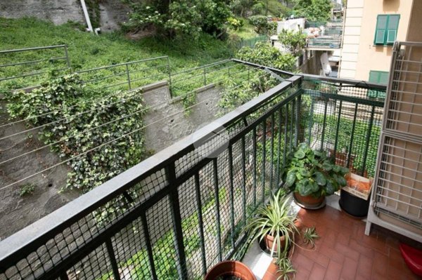 appartamento in vendita a Genova in zona Marassi