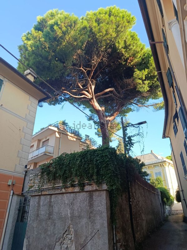 appartamento in vendita a Genova in zona Albaro