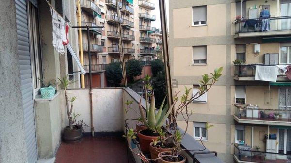 appartamento in vendita a Genova in zona Sampierdarena