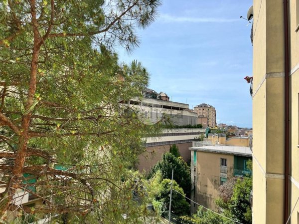 appartamento in vendita a Genova in zona Marassi