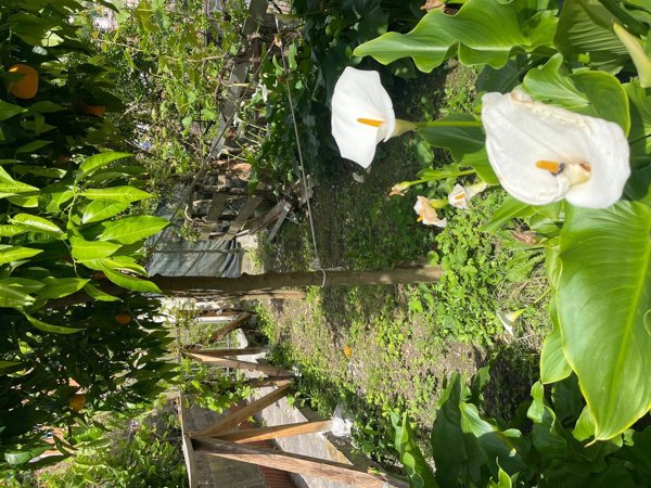 appartamento in vendita a Genova in zona San Quirico