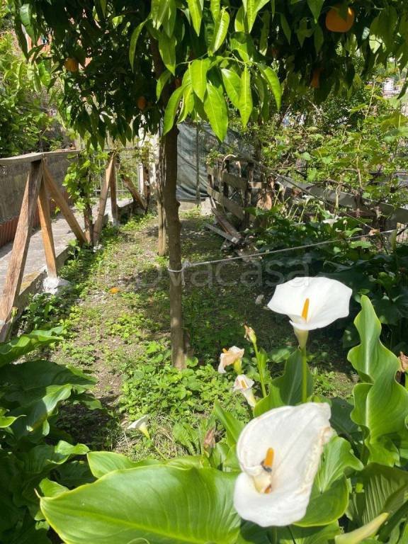 appartamento in vendita a Genova in zona San Quirico
