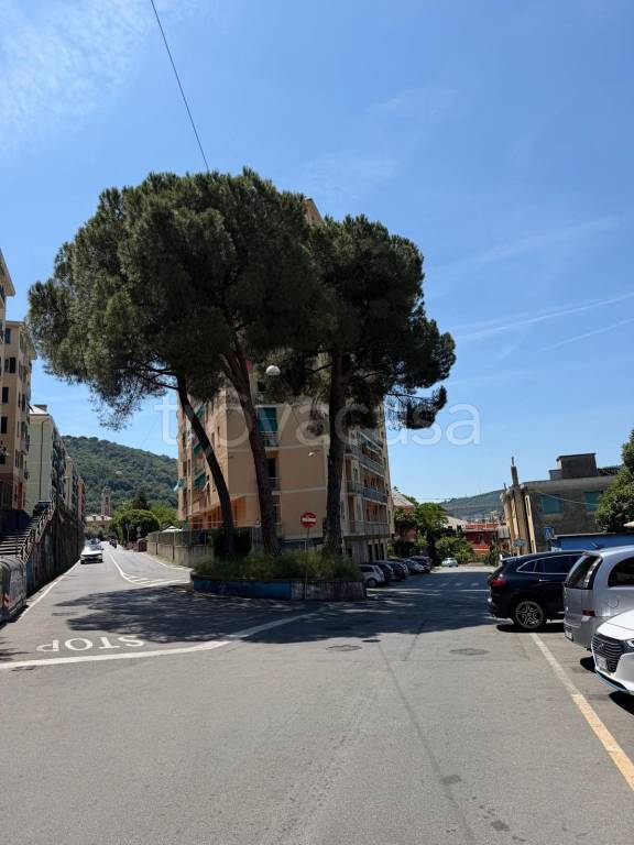 appartamento in vendita a Genova in zona Molassana