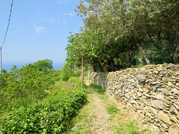 appartamento in vendita a Genova in zona Nervi