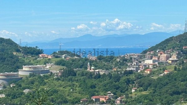 appartamento in vendita a Genova in zona Rivarolo