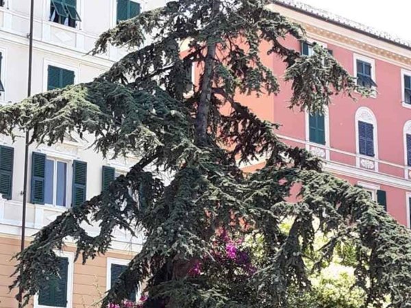 appartamento in vendita a Genova in zona Carignano