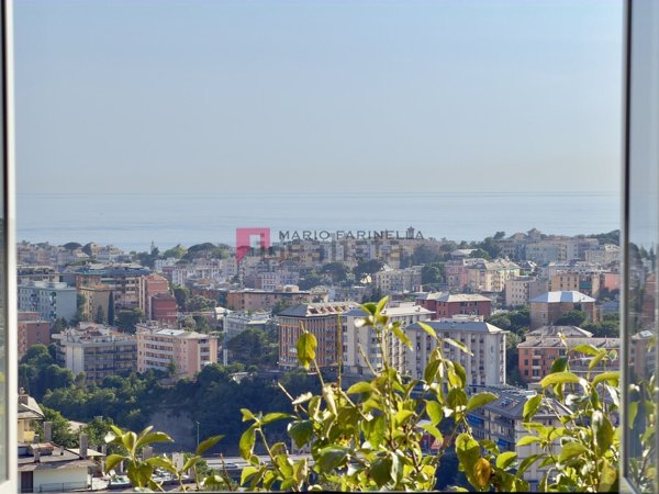 appartamento in vendita a Genova in zona Sturla
