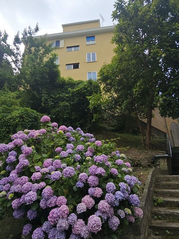 appartamento in vendita a Genova in zona Palmaro / Pra'