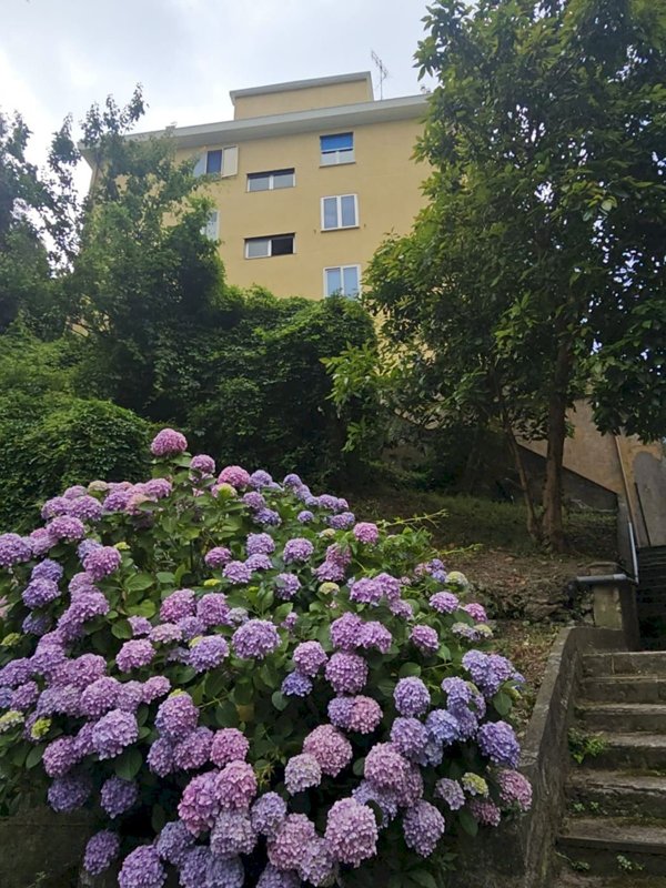 appartamento in vendita a Genova in zona Sestri Ponente