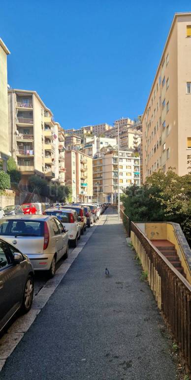 appartamento in vendita a Genova in zona Lagaccio / Granarolo