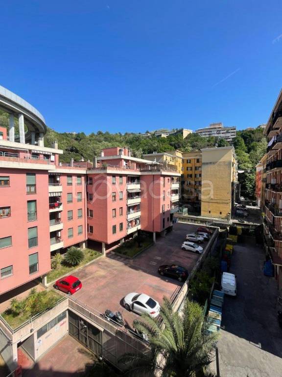 appartamento in vendita a Genova in zona Sampierdarena