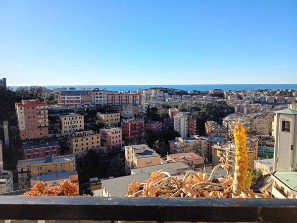 appartamento in vendita a Genova in zona San Fruttuoso