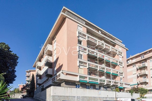 appartamento in vendita a Genova in zona DiNegro