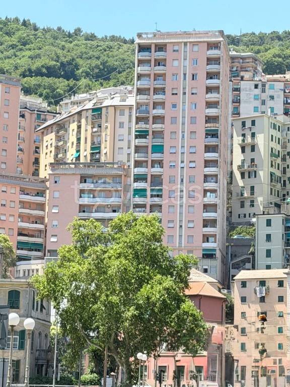 appartamento in vendita a Genova in zona Staglieno