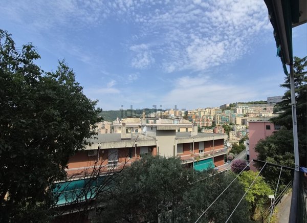 appartamento in vendita a Genova in zona Marassi