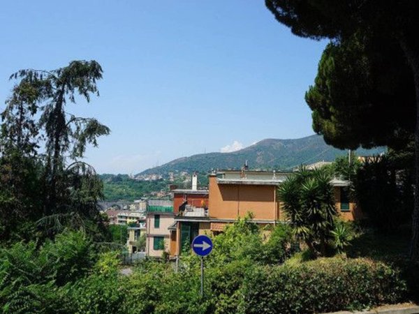 appartamento in vendita a Genova in zona Rivarolo
