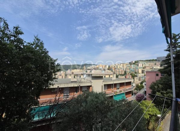 appartamento in vendita a Genova in zona Marassi