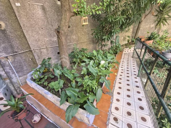 appartamento in vendita a Genova in zona San Fruttuoso