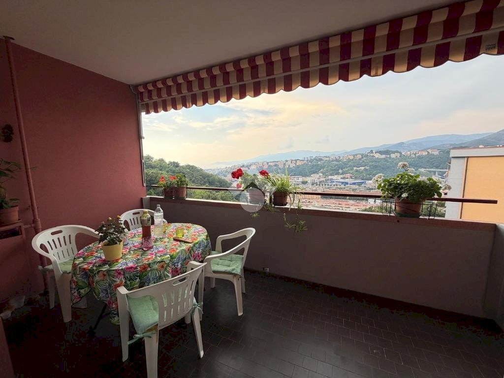 appartamento in vendita a Genova in zona Sampierdarena