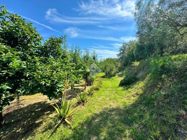 terreno agricolo in vendita a Genova in zona Cornigliano