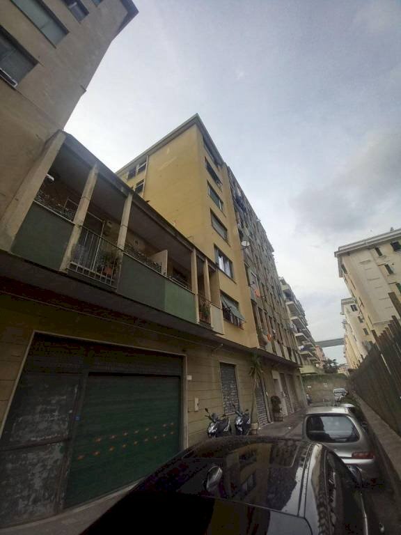 immagine annuncio 0 di 15