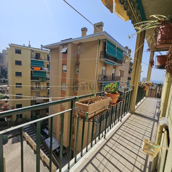 appartamento in vendita a Genova in zona Sampierdarena