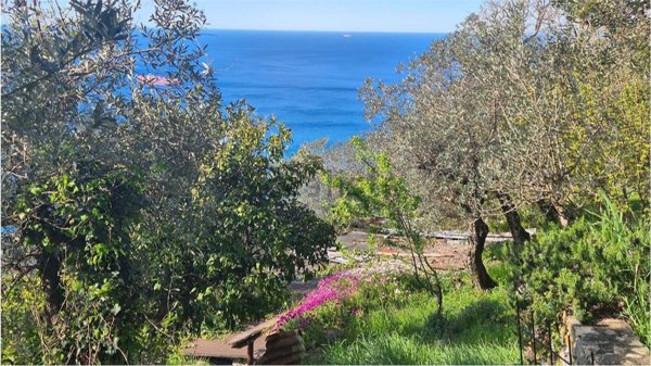 casa indipendente in vendita a Genova in zona Nervi