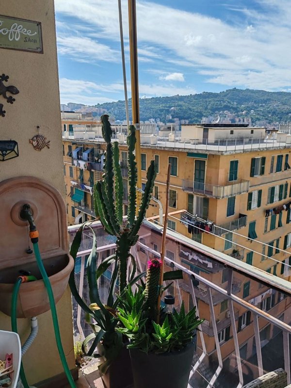 appartamento in vendita a Genova in zona Marassi