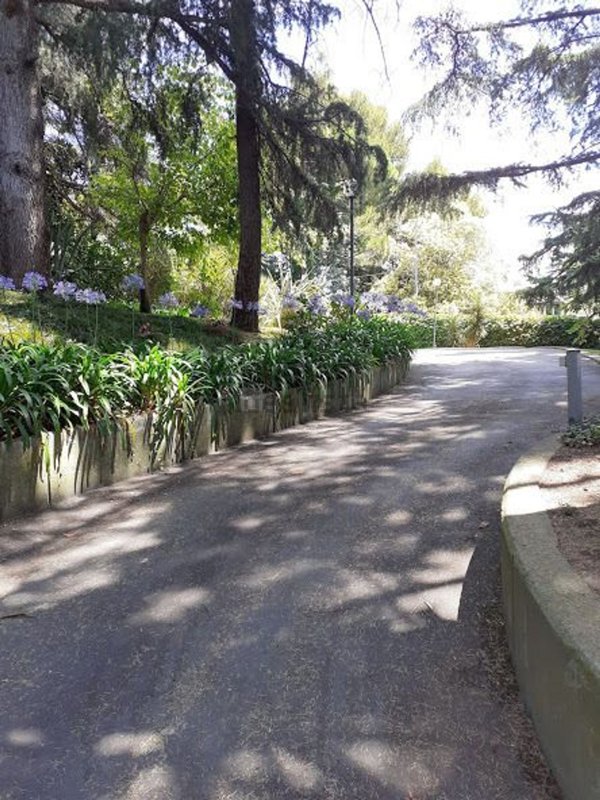 appartamento in vendita a Genova in zona Albaro