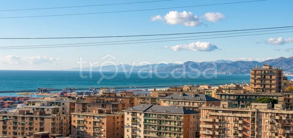 appartamento in vendita a Genova in zona DiNegro
