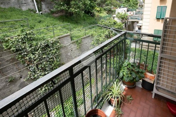 appartamento in vendita a Genova in zona Marassi