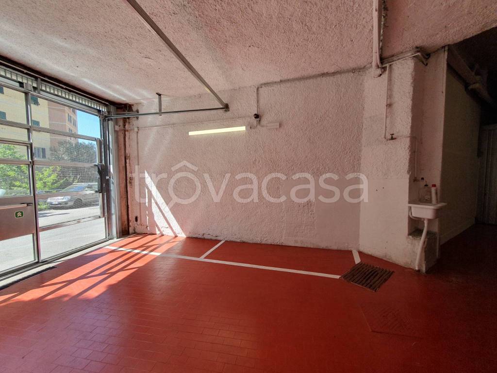 box auto in vendita a Genova