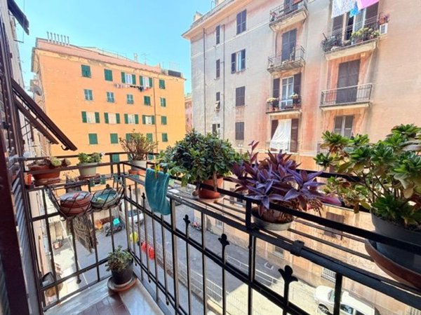 appartamento in vendita a Genova in zona Marassi
