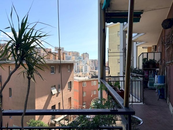 appartamento in vendita a Genova in zona Lagaccio / Granarolo