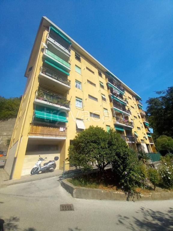 appartamento in vendita a Genova in zona Sampierdarena