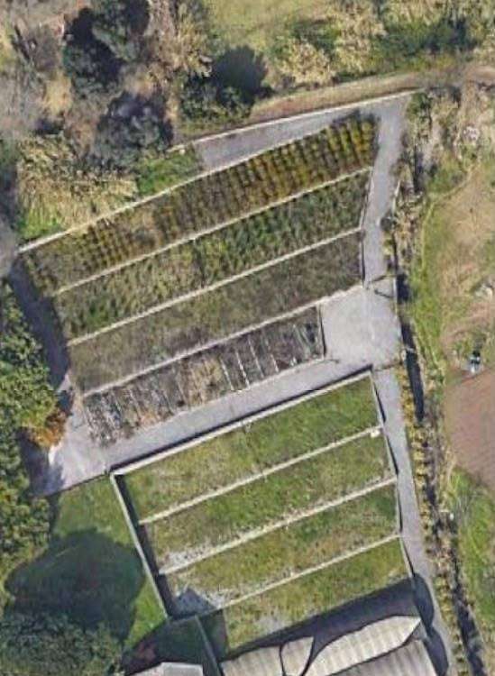 terreno in vendita a Genova