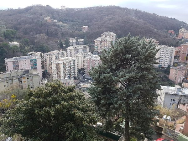 appartamento in vendita a Genova in zona Quezzi