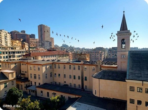 appartamento in vendita a Genova in zona Sampierdarena