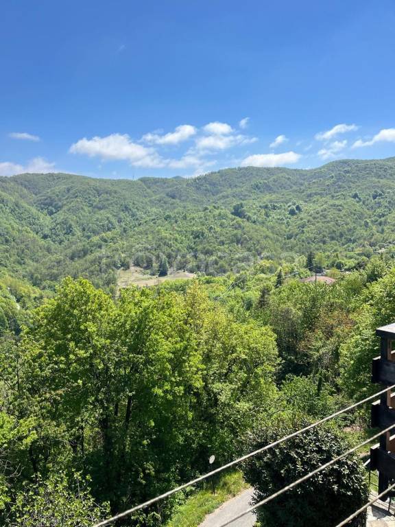 appartamento in vendita ad Isola del Cantone in zona Borlasca