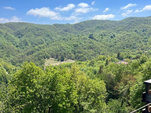 appartamento in vendita ad Isola del Cantone in zona Borlasca