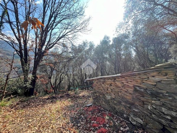 locale di sgombero in vendita a Lavagna
